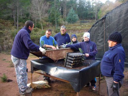 La asociacin Meles, pone su pequeña semilla en Sierra Espuña, Foto 2