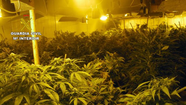 La Guardia Civil desmantela un invernadero dedicado al cultivo intensivo de marihuana - 2, Foto 2