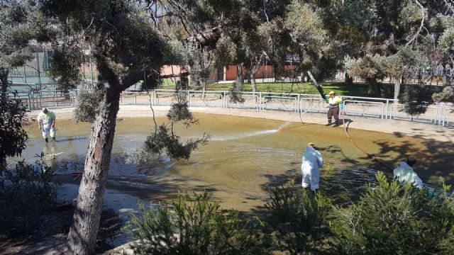 El Ayuntamiento realiza una limpieza exhaustiva de los principales lagos de Murcia - 1, Foto 1