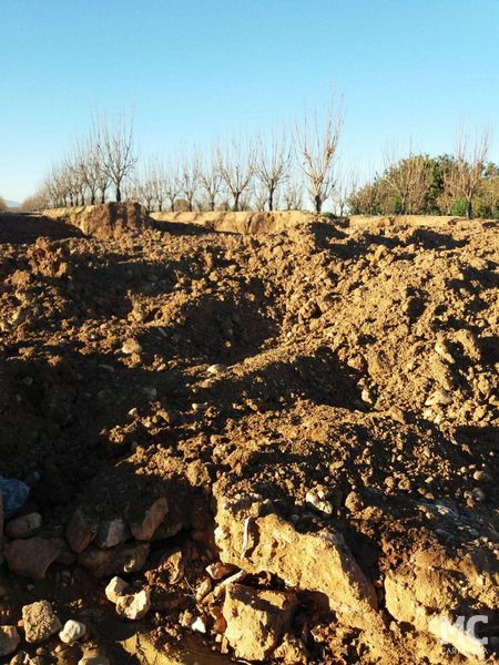 MC Cartagena solicitará que se restituya el cauce original de la Rambla de Miranda en el paraje de La Pedrera - 1, Foto 1