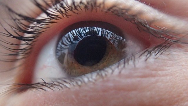 El glaucoma afecta a más de 1 millón de españoles - 1, Foto 1