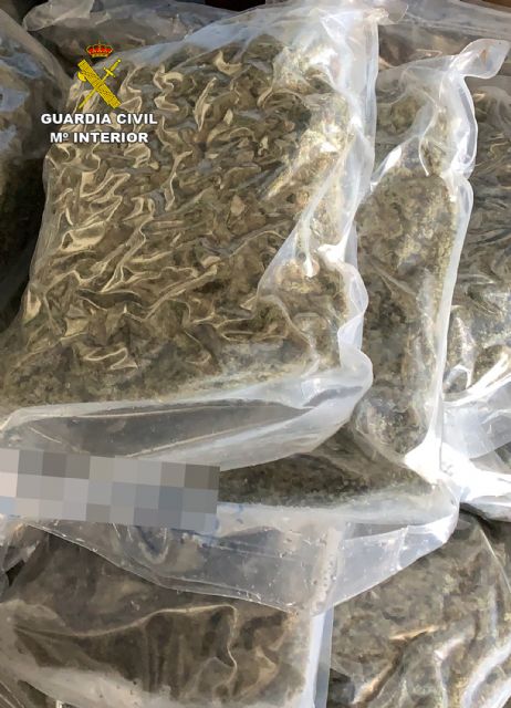 La guardia civil intercepta un importante cargamento de cogollos de marihuana con destino a países bajos - 2, Foto 2