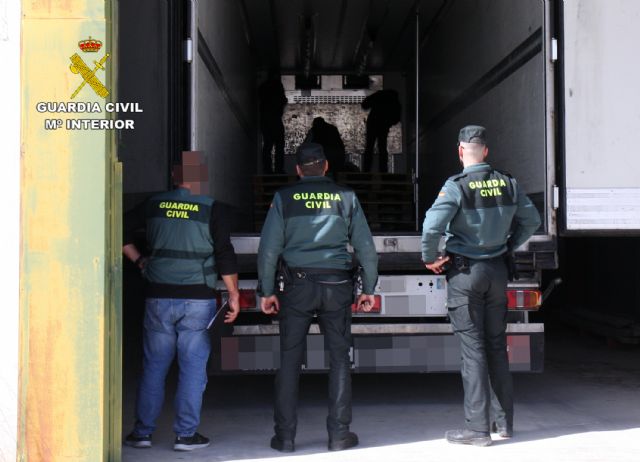 La guardia civil intercepta un importante cargamento de cogollos de marihuana con destino a países bajos - 3, Foto 3