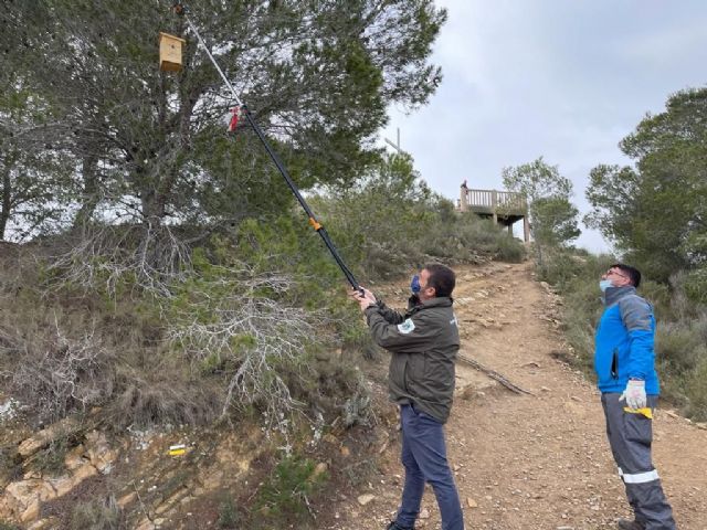 La Comunidad finaliza los tratamientos contra la procesionaria e inicia acciones para controlar una plaga de perforadores del pino - 1, Foto 1