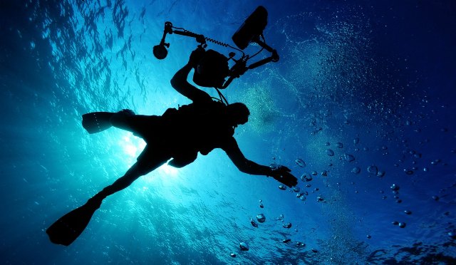 Murcia exhibe su oferta como destino de buceo todo el año en el encuentro ´Sumérgete´ - 1, Foto 1