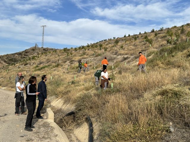 Los alumnos trabajadores participantes en el PMEF de jóvenes beneficiarios de Garantía Juvenil han llevado a cabo una forestación de más de 2.000 árboles y arbustos - 1, Foto 1