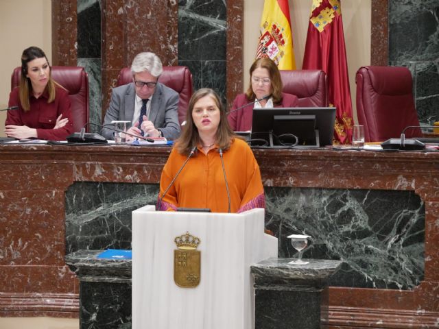 La Asamblea aprueba una moción del PP para garantizar el mantenimiento de los prospectos en papel de los medicamentos - 1, Foto 1