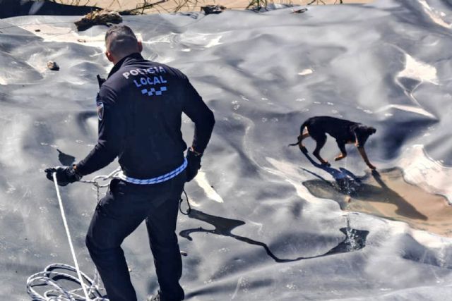 La Policía Local rescata a un perro atrapado en la mota del río Segura - 3, Foto 3
