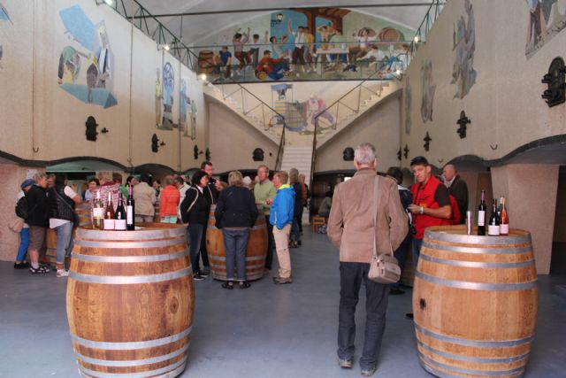 Miles de turistas sénior austriacos visitan el Museo del Vino y una bodega de Bullas - 3, Foto 3