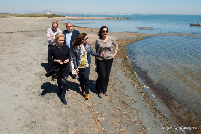 El Ayuntamiento logra que Medio Ambiente refuerce su plantilla para limpiar manualmente las playas de Los Urrutias, Punta Brava y Estrella de Mar - 1, Foto 1