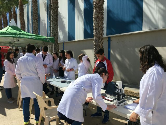 Más de 1100 niños participan en la II Semana Saludable - 2, Foto 2