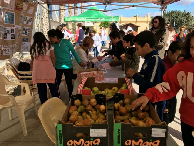 Más de 1100 niños participan en la II Semana Saludable - 3, Foto 3