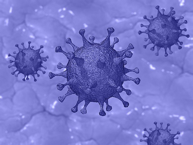 Casos confirmados de infección por coronavirus COVID19 en Cieza - 1, Foto 1