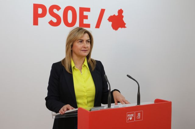 Carmina Fernández: El Gobierno de López Miras no tiene ninguna credibilidad en materia económica, ni siquiera cumple su propio plan de ajuste - 1, Foto 1