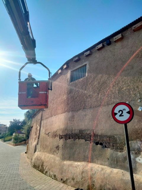 Lorca se convierte en territorio vencejo con la campaña de revisión de cajas nido - 2, Foto 2