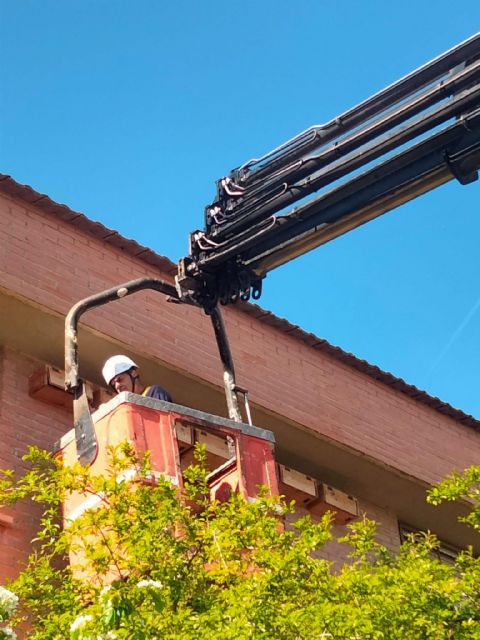 Lorca se convierte en territorio vencejo con la campaña de revisión de cajas nido - 3, Foto 3