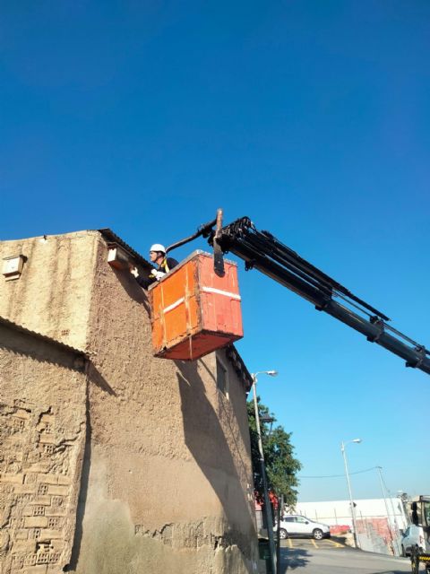 Lorca se convierte en territorio vencejo con la campaña de revisión de cajas nido - 5, Foto 5
