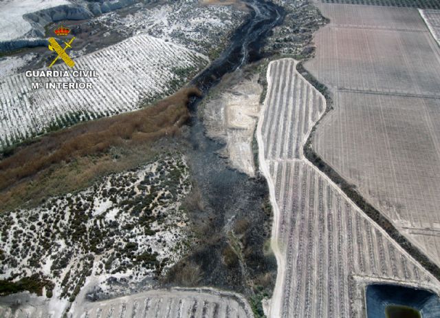 La Guardia Civil esclarece el incendio forestal que calcinó más de dos hectáreas de terreno - 1, Foto 1