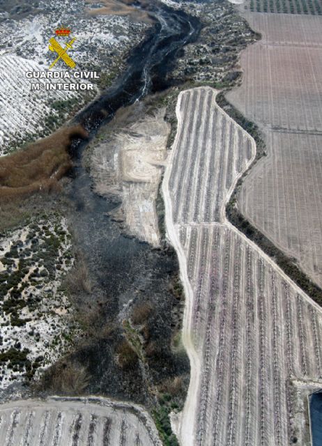 La Guardia Civil esclarece el incendio forestal que calcinó más de dos hectáreas de terreno - 2, Foto 2