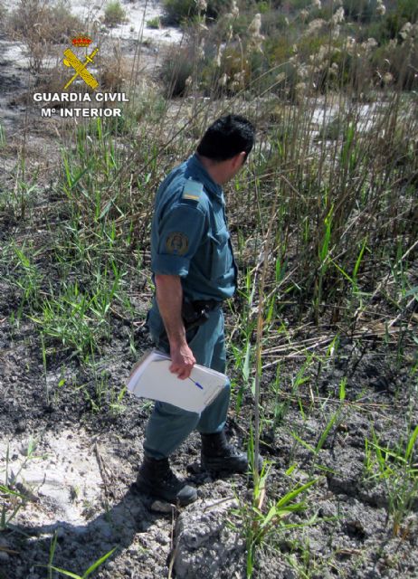 La Guardia Civil esclarece el incendio forestal que calcinó más de dos hectáreas de terreno - 3, Foto 3