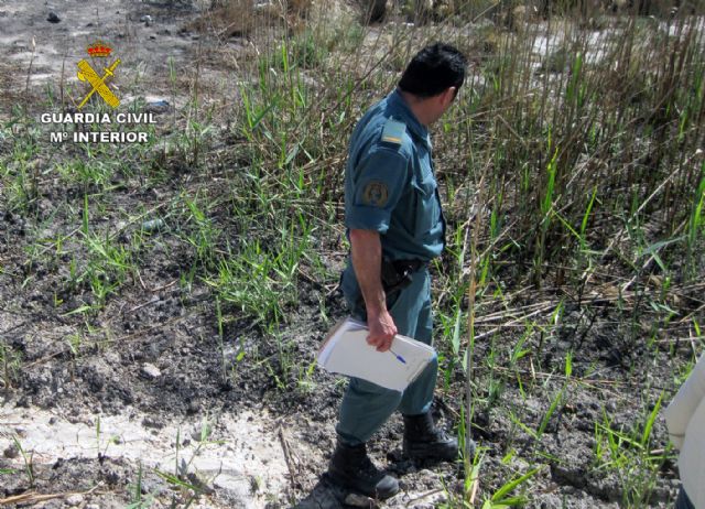La Guardia Civil esclarece el incendio forestal que calcinó más de dos hectáreas de terreno - 4, Foto 4