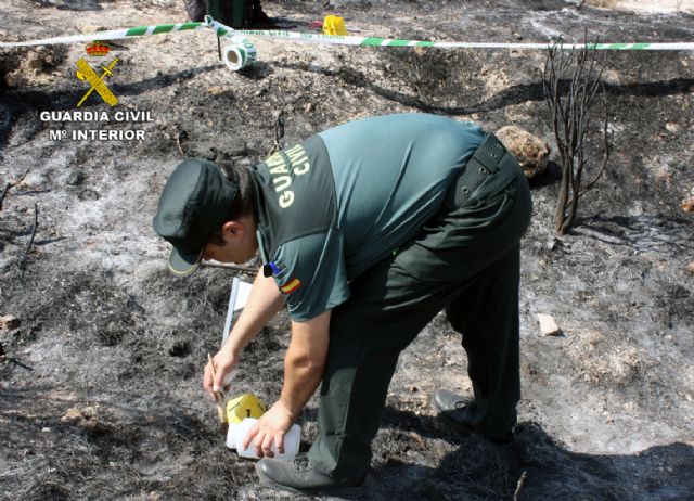 La Guardia Civil esclarece el incendio forestal que calcinó más de dos hectáreas de terreno - 5, Foto 5