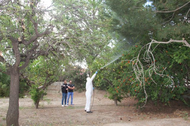 El Ayuntamiento realiza labores de fumigacin para eliminar mosquitos en parques y jardines, Foto 1