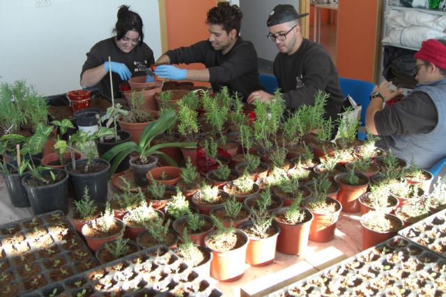 Sermubeniel enseña a 15 jóvenes desempleados a plantar jardines que consumen poca agua - 1, Foto 1