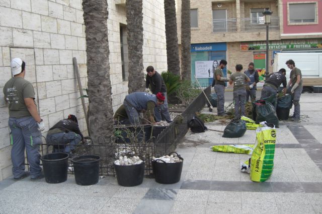 Sermubeniel enseña a 15 jóvenes desempleados a plantar jardines que consumen poca agua - 2, Foto 2