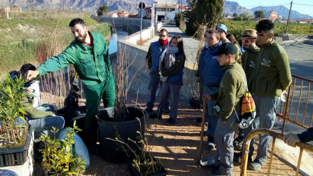 Sermubeniel enseña a 15 jóvenes desempleados a plantar jardines que consumen poca agua - 3, Foto 3