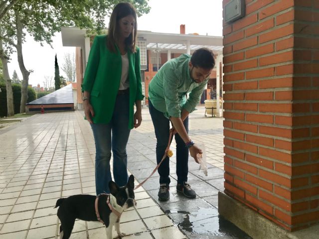 No te metas en un marrón, la campaña con la que el Ayuntamiento pretende fomentar la actitud responsable de los dueños de mascotas - 2, Foto 2