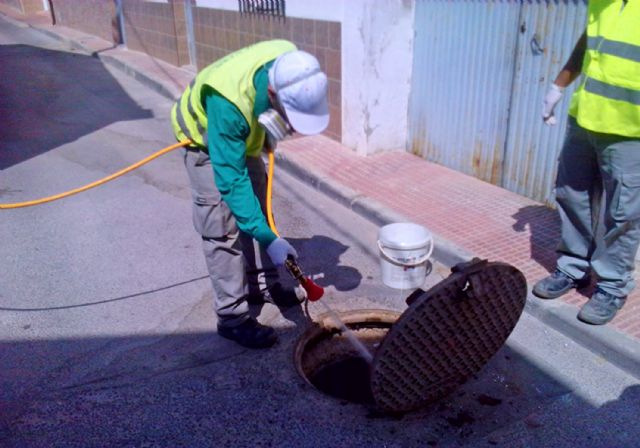 La concejalía de Sanidad realiza la primera campaña de desratización y desinsectación del alcantarillado de 2019 - 1, Foto 1