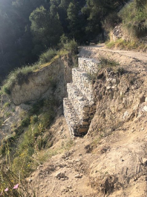Concluyen los trabajos de repoblación forestal y corrección hidrológica en el monte de la Atalaya aprobados por el proceso de participación ciudadana - 1, Foto 1
