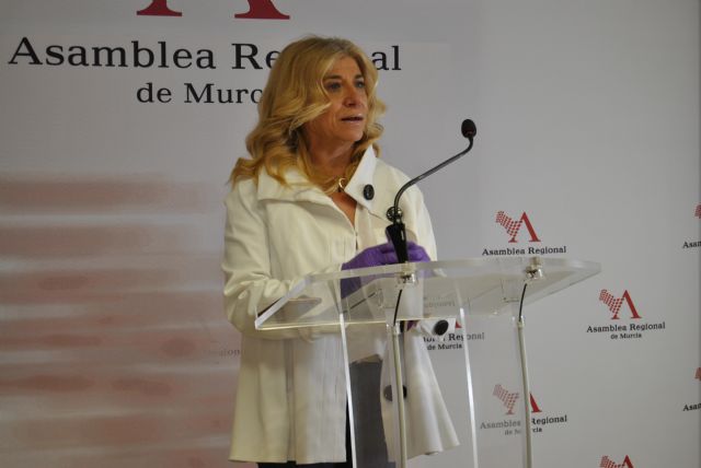 El PSRM pide al Gobierno regional que reoriente los presupuestos hacia las necesidades reales de las personas y sirvan para luchar contra la crisis - 1, Foto 1