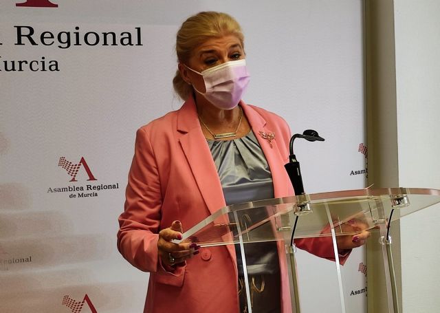 Gloria Alarcón: El Gobierno de López Miras ha convertido a la Región en una comunidad dependiente del Gobierno de España - 1, Foto 1