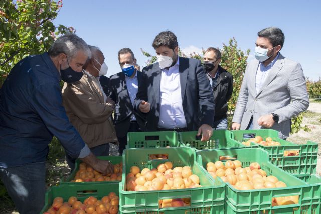 El Gobierno regional destinará 50 millones a más de 3.000 productores para mantenimiento y ampliación de la agricultura ecológica - 1, Foto 1