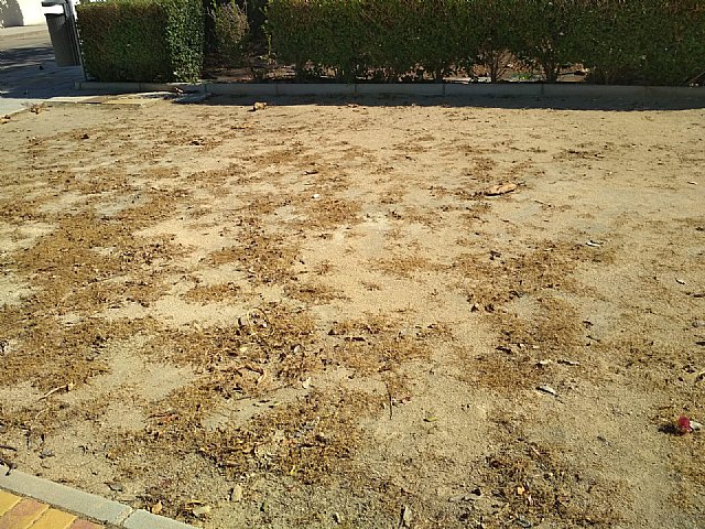 VOX San Pedro exige un proyecto de restauración para El Mojón - 1, Foto 1