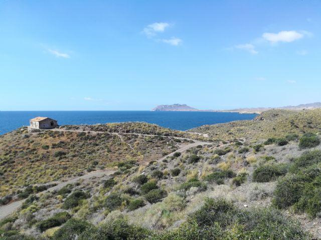 Medio Ambiente inicia un estudio de los hábitats vegetales del Parque Regional Calnegre y Cabo Cope - 1, Foto 1