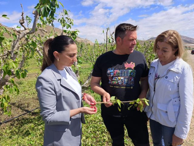 Rubira visita cultivos afectados por el pedrisco en el Altiplano - 1, Foto 1