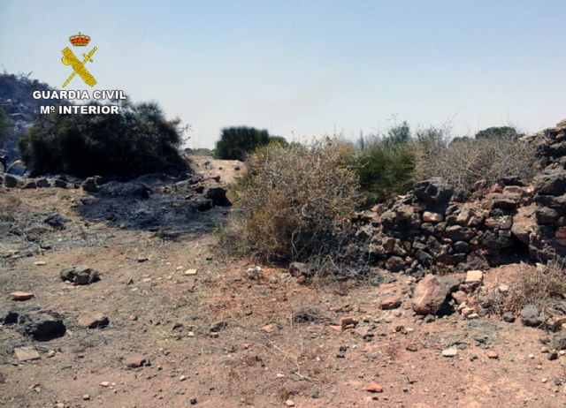 La Guardia Civil esclarece el incendio del Monte Miral San Ginés de la Jara - 2, Foto 2