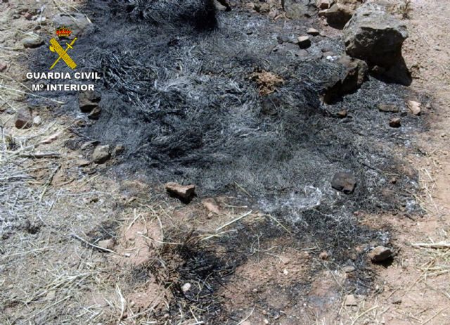 La Guardia Civil esclarece el incendio del Monte Miral San Ginés de la Jara - 4, Foto 4