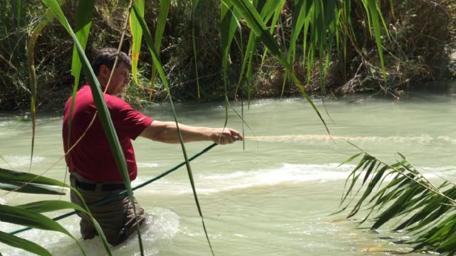 Salud Pública inicia en Ojós el primer tratamiento piloto contra la mosca negra en la Región - 1, Foto 1