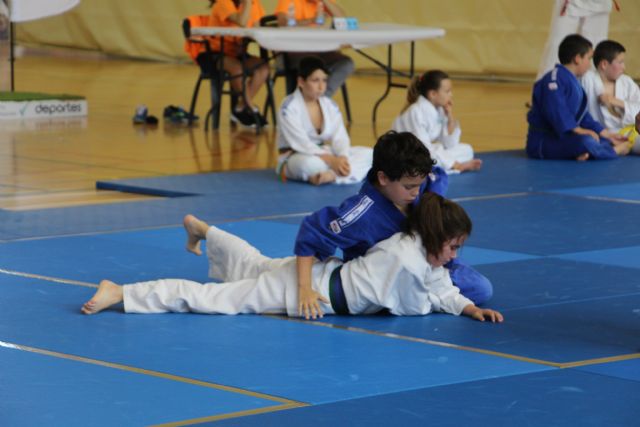 Más de 100 judokas participan en la Liga Judokita celebrada en San Pedro del Pinatar - 4, Foto 4