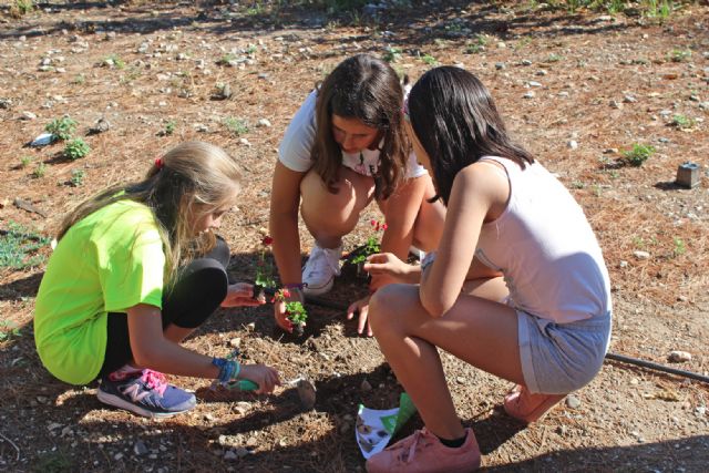 Más de 300 alumnos realizan talleres de revegetación en los parques del municipio - 2, Foto 2