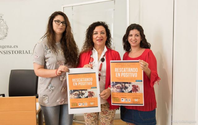 El personal de las protectoras de animales y particulares aprenderán sobre ´rescate en positivo´ - 1, Foto 1