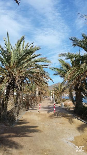 MC Cartagena reclamará una actuación de urgencia en el paseo marítimo de La Azohía y que se dote de abastecimiento de agua potable al Campillo de Adentro - 2, Foto 2