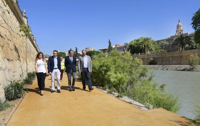 Las márgenes de ´Murcia Río´ se llenan de vida con 6.000 plantas arbustivas y más de 200 nuevos árboles - 3, Foto 3