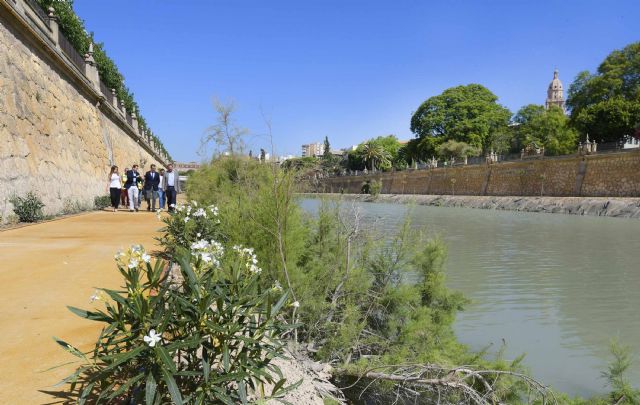 Las márgenes de ´Murcia Río´ se llenan de vida con 6.000 plantas arbustivas y más de 200 nuevos árboles - 4, Foto 4