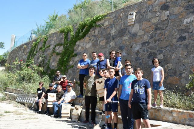 Cajas nido para murciélagos - 2, Foto 2