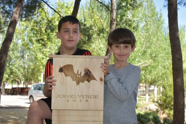 Cajas nido para murciélagos - 3, Foto 3